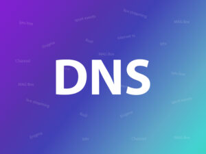 DNS-logo